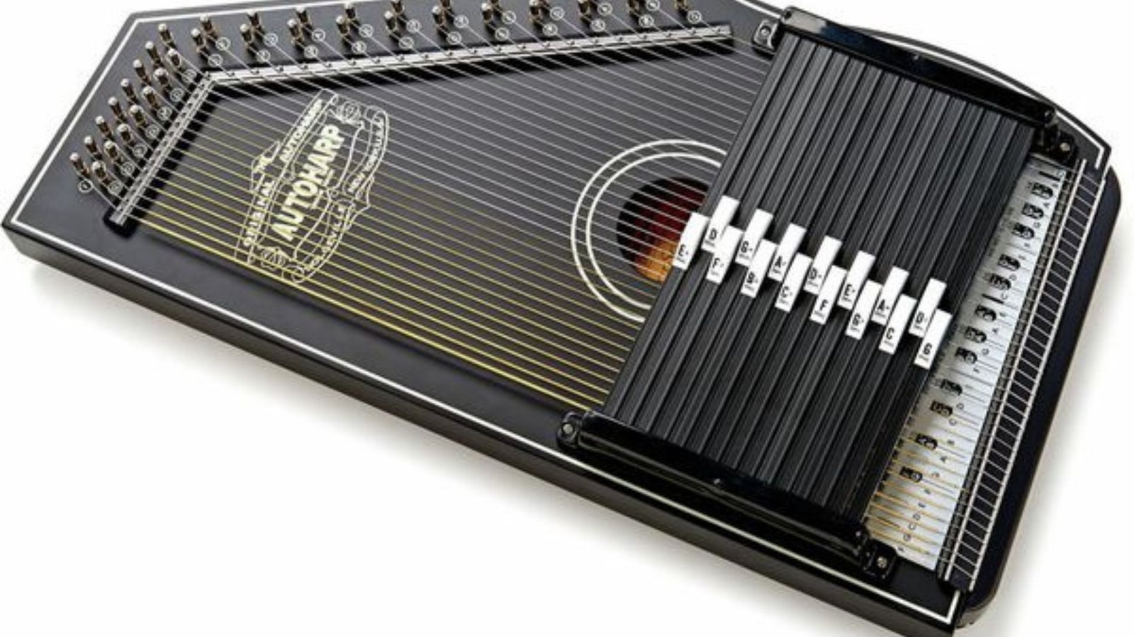 Autoharp Adventures: Can You Play Blues, Bluegrass, or Rock?