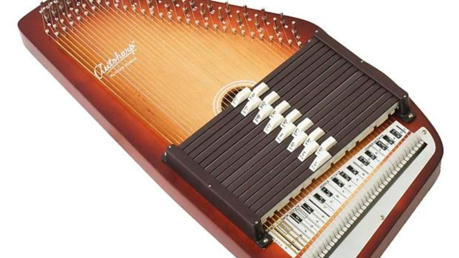 How Can You Build Your Autoharp?