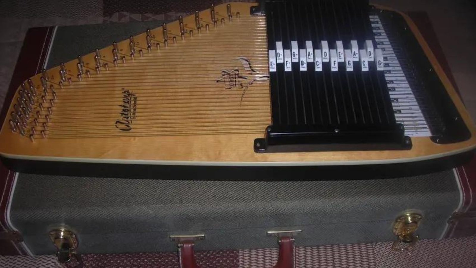 How to Buy a Used Autoharp Safely