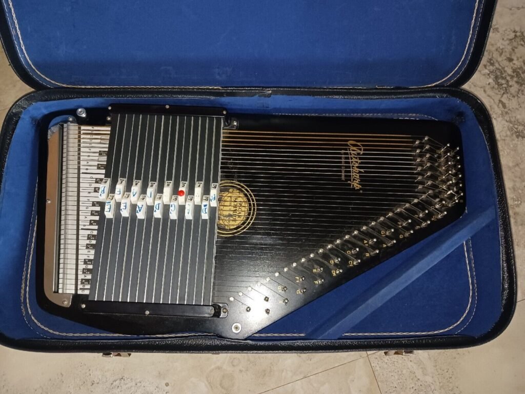 Autoharp Case