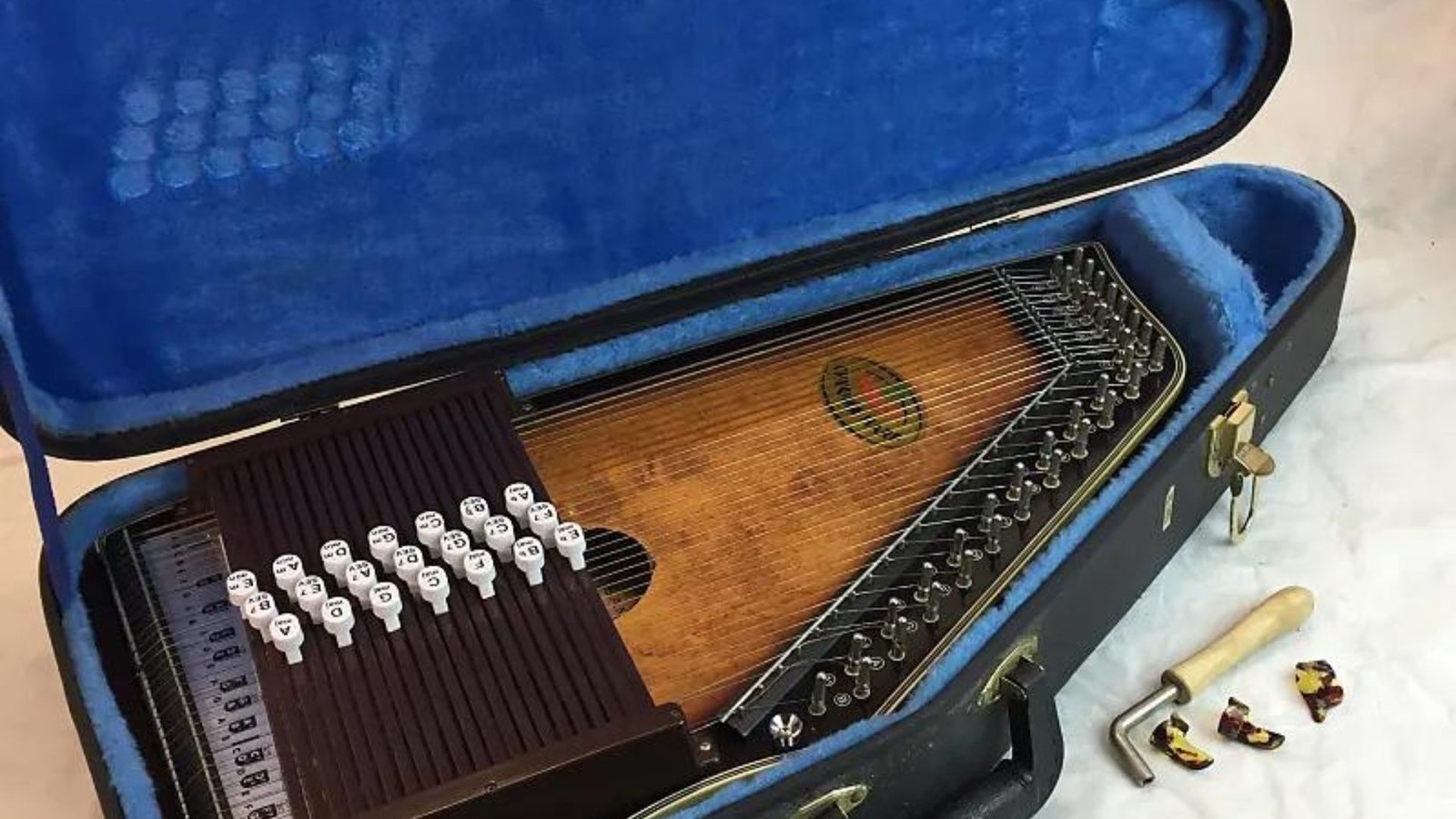 The Trending Autoharp Models in 2024